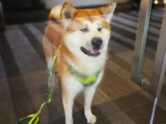 -去茶山(新光里店)