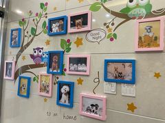 -北京观赏动物医院·24小时大型综合·猫专科·异宠专科