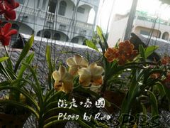 android_upload_pic-自然餐厅(Phuket)