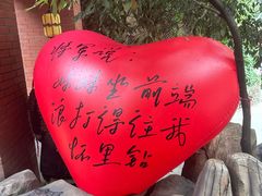 -将军关探险漂流