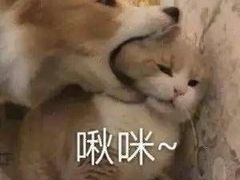 -丽丽三鲜螺蛳粉(田林路店)