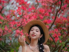-木兰云雾山
