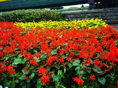 -喜识·冰糖葫芦·炒酸奶(长安万达店)