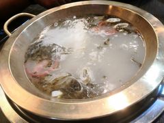 营养锅底-土著渔匠·养生蝴蝶鱼(香樟路店)