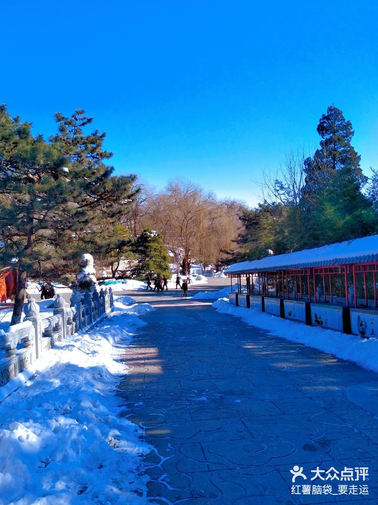 八大处雪景图片