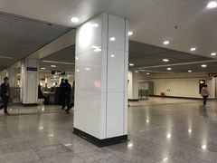 -杨高南路(地铁站)