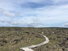 -龙坑生态保护区