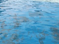 -黄河谷马拉湾海浪浴场