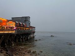 -Fish Hopper