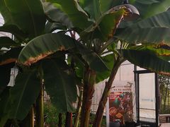 -MUSEO COFFEE咖啡博物馆