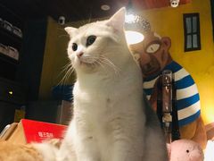 -咖法森林·咖啡  酒吧(天河店)