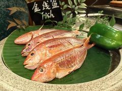 -怡咖啡·自助餐·西安香格里拉