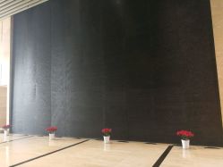 -武汉富力威斯汀酒店·宴会厅