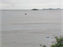 -北岐滩涂