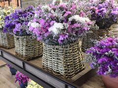 -L.C FLORA花予你(城西银泰城店)