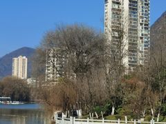 -凤池园