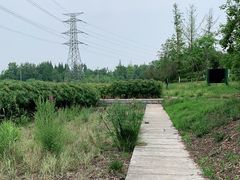 -桤木河湿地公园