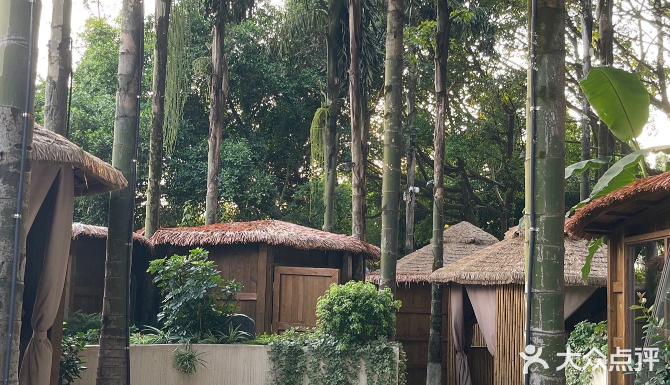 森林木屋的悠闲