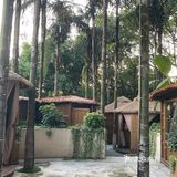 森林木屋的悠闲