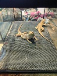 -酷嗒动物文化乐园(cutezoo西溪乐天城店)