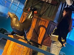 -常州海昌海洋探索馆