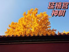 -故宫博物院(故宫)