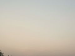 丝瓜-湖湘楼口味馆