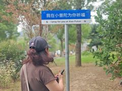 -东钱湖小普陀景区