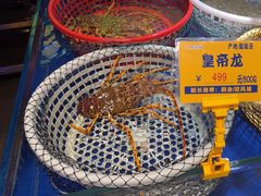 -79号渔船海鲜饭店(华强北店)
