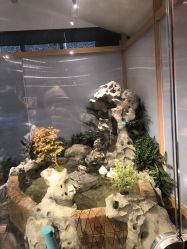 -造物庄园 萌宠纪(苏州湾歌林公园店)