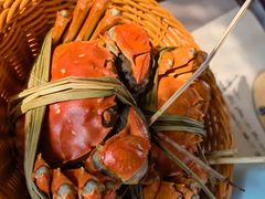 -蟹村草堂·苏式园林人文农家·大闸蟹