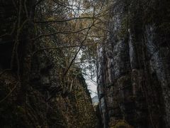 -山王坪喀斯特国家生态公园
