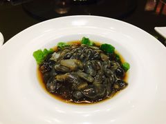 -海中洲渔社