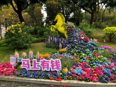 -云溪植物园