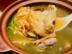 香菌炖土鸡-燕兰楼·清真西北融合菜(亚运村店)