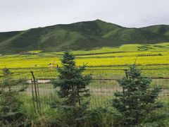 -扁都口生态休闲旅游区