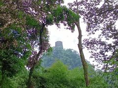 -青城山