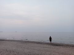 -长兴岛海滨公园