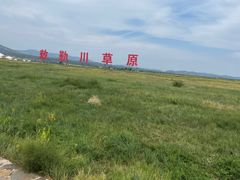 -敕勒川草原