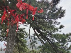 -终南山南五台景区