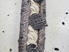 -威利旺卡烘焙西点蛋糕培训(朝阳校区)