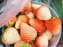 -回味南塘老王虾尾(总店)