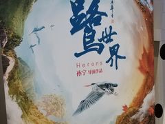 -奥斯卡升龙国际影城(RealD Cinema)