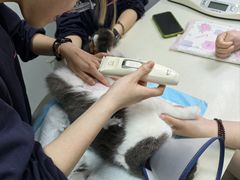 -莘程宠物医院(金山店)