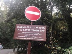 -茶颜悦色(岳麓山顶店)