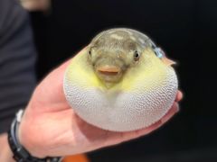 -永安鱼庄·镇江菜(东吴路店)