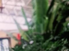 -郑州银基黄帝宫御温泉