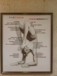 -广州萨谛艾扬格瑜伽中心