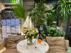 -ChenV西服礼服高级定制(市区养育巷店)