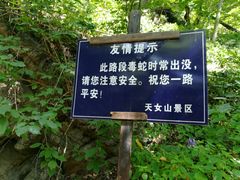 -天女山森林公园